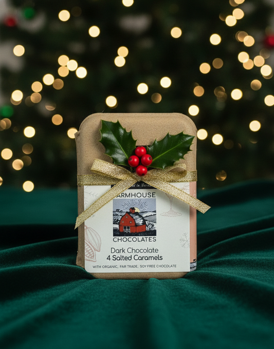 Dark Chocolate Salted Caramels – 4-Piece Box