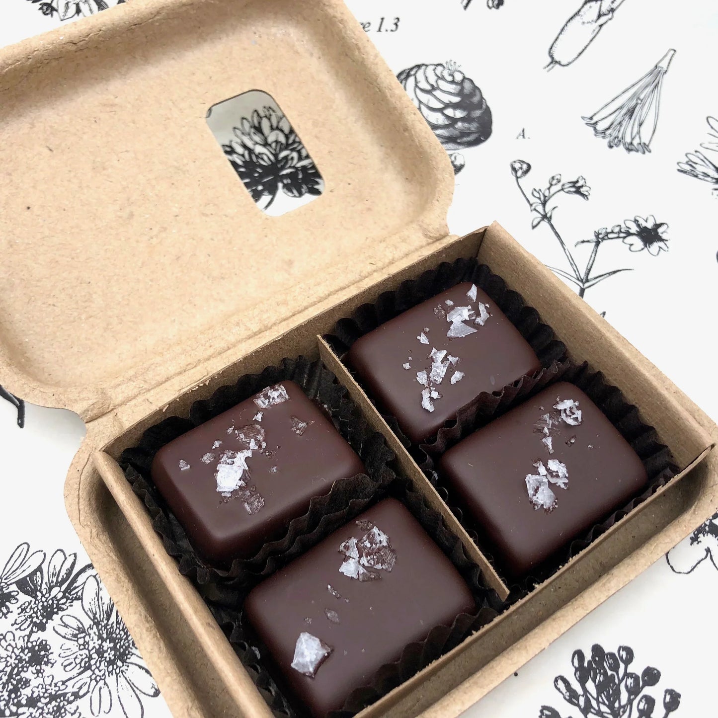 Dark Chocolate Salted Caramels, 4-Piece Box
