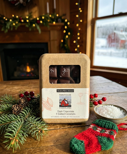 Dark Chocolate Salted Caramels, 9-Piece Box