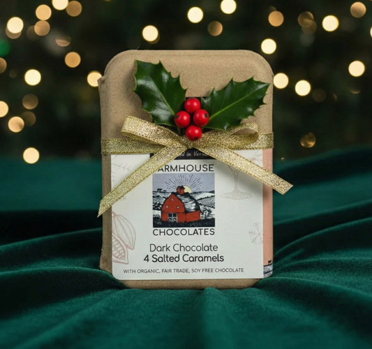 Dark Chocolate Salted Caramels, 4-Piece Box